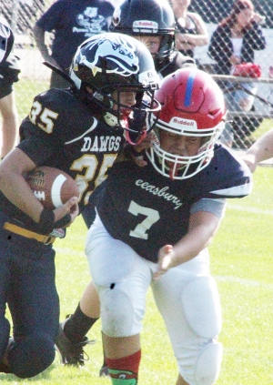 Reedsburg’s fifth grade youth football team opened the 2024 game schedule at Webb Field Saturday against Waunakee. (Photos by Troy Matz)